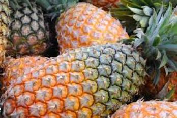 Businesses in Luweero Town Council